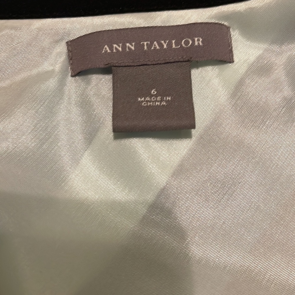 Ann Taylor Silk Skirt NWOT - Picture 4 of 7